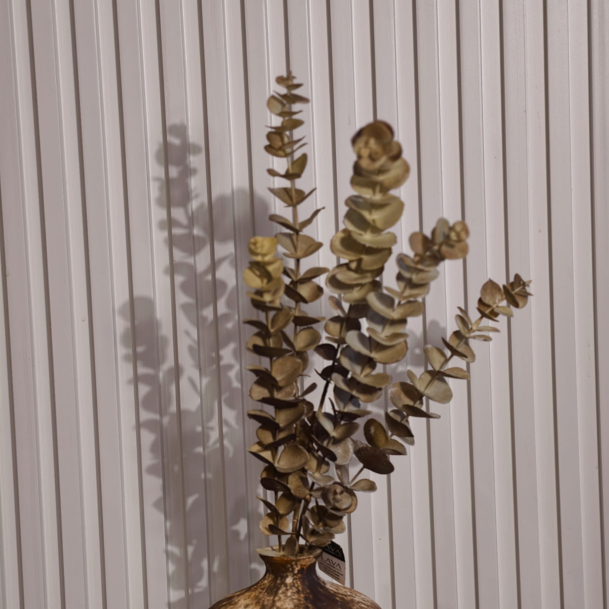 2018dd8c 01c0 46cc bd47 49bf740ae22c